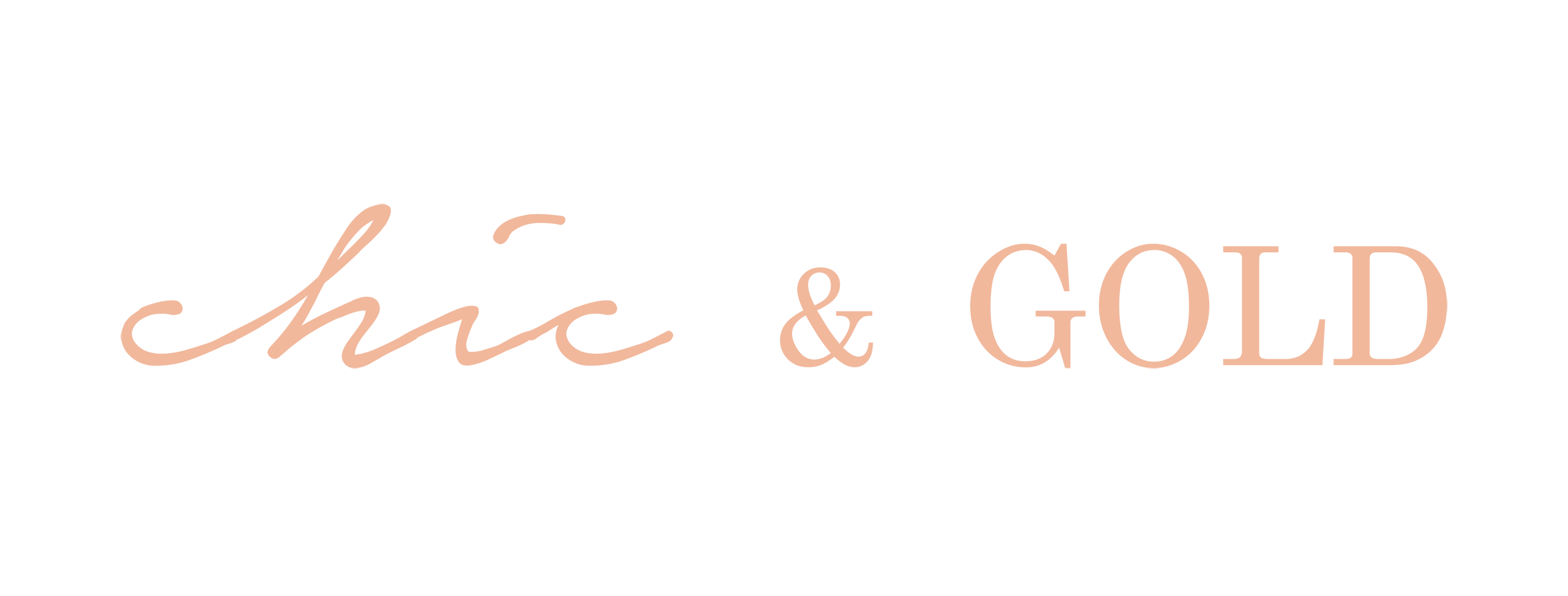 Chic & Gold Shop